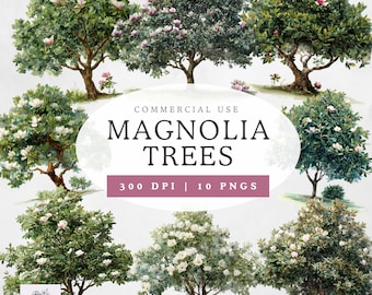 Magnolia Trees Clipart, Watercolor Flower PNGs, Digital Download, Scrapbook Images, Transparent Background, Instant Access