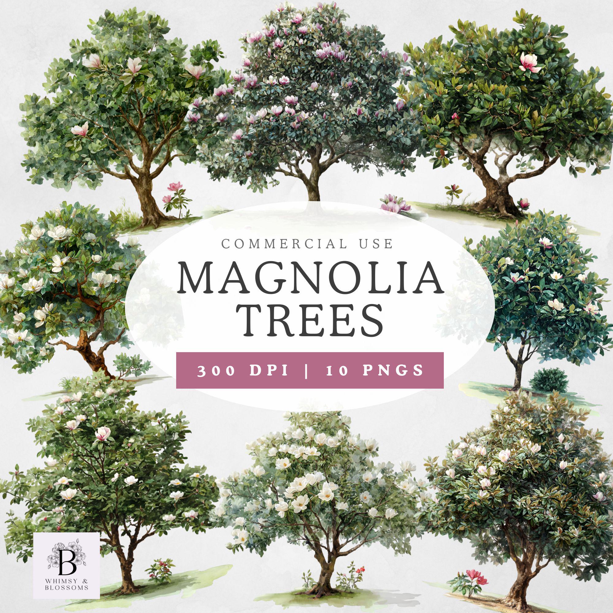 Magnolia Trees Clipart, Watercolor Flower Pngs, Digital Download ...