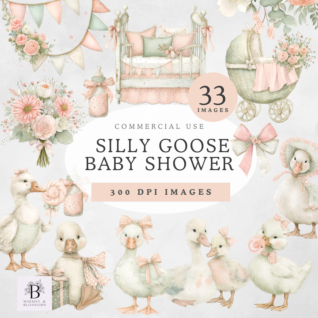 Silly Goose Baby Shower Clipart, Pink Silly Goose, Coquette Bow ...