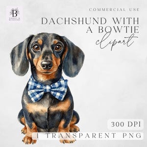 Dachshund Clipart - Dachshund Blue Gingham Bow Clipart -  Dog Lover Sublimation - Card Making - Transparent PNGs - 300 DPI