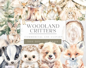 Woodland Critters Clipart - Little Camper Clipart -  Boho Woodland Clipart - Transparent PNG for Commercial Use - High Quality Images