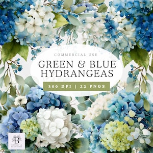 May include: A digital illustration featuring a collection of green and blue hydrangeas. The image includes text that reads "GREEN & BLUE HYDRANGEAS" and "COMMERCIAL USE". The image also includes the text "300 DPI | 22 PNGS".