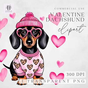 Può includere: Un bassotto nero e marrone che indossa un maglione rosa con cuori e stampa leopardata, un cappello rosa con un pon pon bianco e occhiali a forma di cuore. Lo sfondo è bianco con cuori rosa.