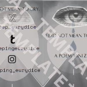 I Did Not Mean To Cry - Mini Poetry Zine - Digital Download