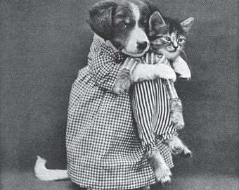 Digital Download Vintage Photo Dog Holding Cat Jpeg Clip Art Mixed Media Art Harry Whittier Frees