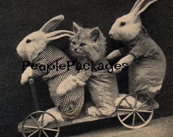 Digital Download Vintage Photo Bunny Rabbit and Cat on Scooter Jpeg Clip Art Mixed Media Art