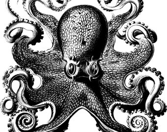 Digital Download Octopus with Tentacles JPEG PNG Clip Art Mixed Media Art Black and White