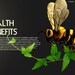 3D Model Template - Etsy