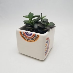 May include: White ceramic planter with a rainbow design, featuring a small succulent plant.