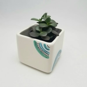 May include: A small white square planter with a green and blue geometric design. A succulent plant is growing in the planter.