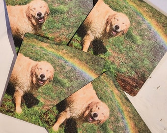 golden retriever magnet / dog magnet / rainbow / smiling dog / refrigerator magnet / fridge magnet / puppy magnet / dog lover gift / dog mom