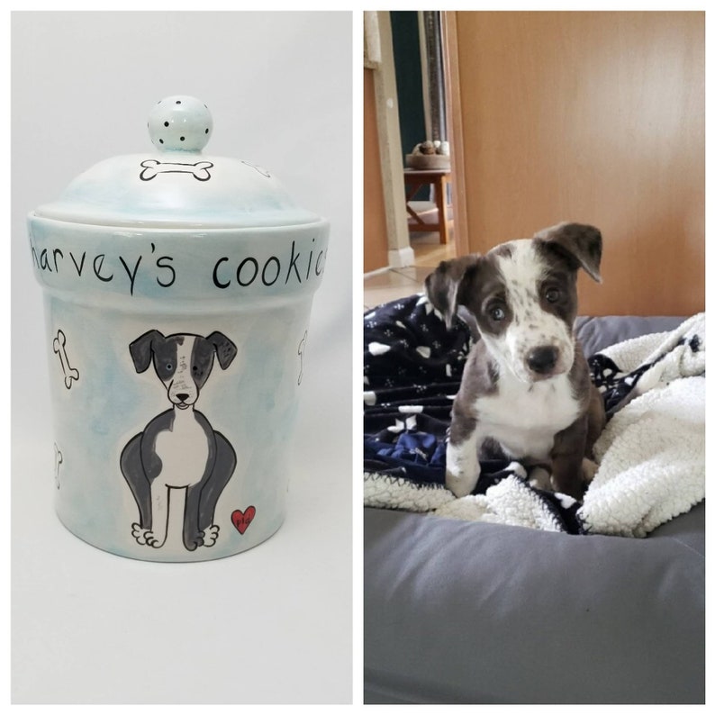 Custom dog treat jar / ceramic jar / pet gift / new puppy