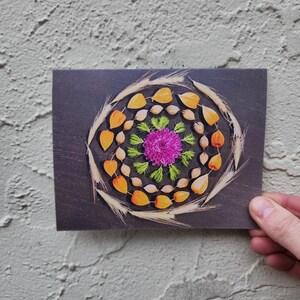nature mandala card / strawberry moon mandala / full moon art / greeting card / nature photography / nature lover card / zodiac card