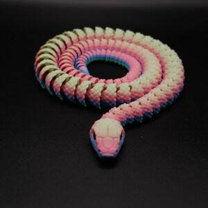 Può includere: Un giocattolo a forma di serpente colorato e segmentato in plastica. Il serpente è arrotolato in un cerchio con la testa rivolta verso lo spettatore. Il serpente è rosa, blu e verde.