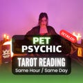 Pet Psychic Reading, Telepathic Animal Communication, Does My Pet Love Me, Deceased Pet Reading, Accurate Pet Tarot Reading, Cat, Dog, Tarot