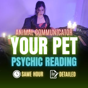 Pet Psychic Reading, Living Pet Reading, Deceased Pet Reading, Same Hour Tarot Reading, Animal Communicator, Cat or Dog Tarot Reading