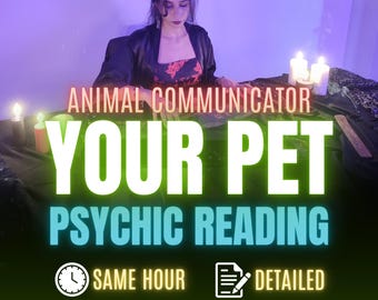 Pet Psychic Reading, Living Pet Reading, Deceased Pet Reading, Same Hour Tarot Reading, Animal Communicator, Cat or Dog Tarot Reading