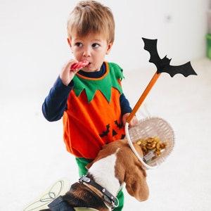 May include: A child in an orange pumpkin costume with a green collar and a black bat-shaped wand. A white basket filled with treats is held by the child. A dog with a black collar and a pair of fairy wings is in the image.