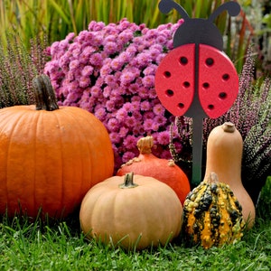 Poly Ladybug Yard Stake with Black Stake - Amish Made Garden Decoration - Ladybug that won&#39;t fly away home! Red Ladybug Garden Stake.