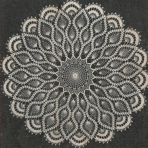 May include: A white crocheted doily with a circular design featuring a central star and radiating spokes. The doily has a delicate, intricate pattern.