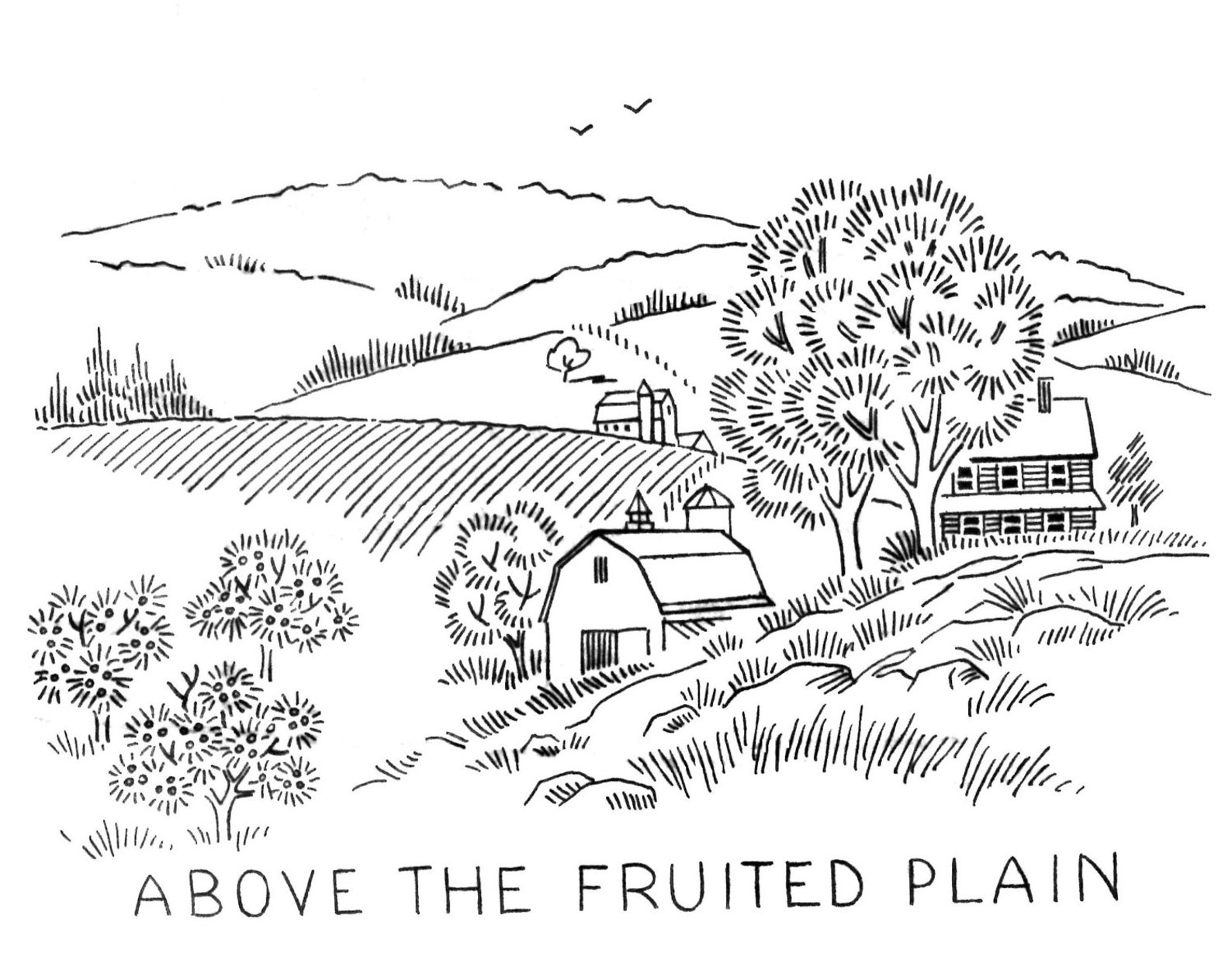 America the Beautiful Fruited Plain Purple Mountain Amber Etsy