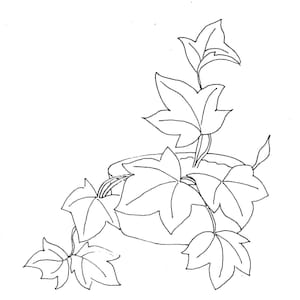 May include: A black and white line drawing of a potted plant with ivy leaves. The plant is in a simple pot with a rounded shape. The leaves are detailed and have a realistic look.