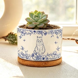 May include: A white ceramic planter with a blue floral design and a cat illustration, holding a green succulent plant. The planter sits on a round wooden base. The name "Kali" is written on the planter.