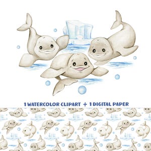 May include: Watercolor clipart of three white beluga whales swimming in the ocean. The whales are smiling and have large, round eyes. The clipart is perfect for creating invitations, cards, and other paper crafts.
