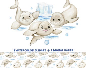 Baby Beluga Clipart  PNG Files digital paper JPG sublimation design seamless pattern for Ocean-Themed Projects