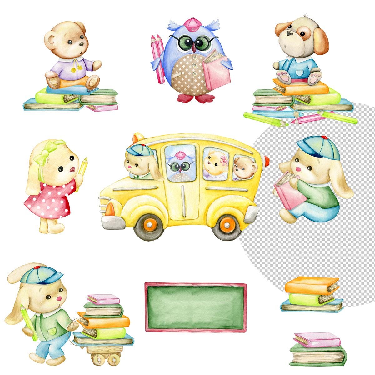 Back to School Watercolor Clipart, Cute Animals, Owl Teacher, Animals ...