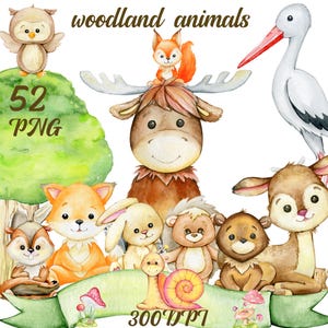 Woodland Animals bear Fox bunny clipart, forest Watercolor clip art, nursery decor.