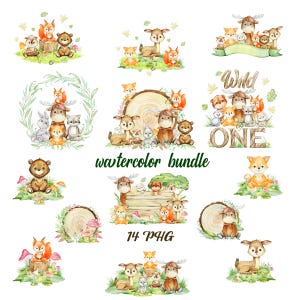 Woodland Animals Clipart Watercolor Bundle, Commercial use, Transparent PNG, Boho Baby Nursery, Fox, Bear, Deer, Hedgehog, Raccoon,