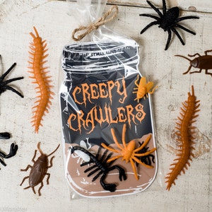 DESCARGA INSTANTE regalo de juguete de insecto Tarro de albañil DIY ideal para idea de Halloween sin dulces Tarro de insectos También funciona para gusanos gomosos o anillos de araña