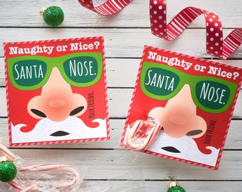 Santa Nose Christmas Candy Cane Holder Card for Kids Classroom Holiday Party Favor Instant Download Printable Pencil Holder Funny Naughty