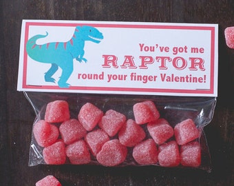 INSTANT DOWNLOAD Printable Classroom Valentines Treat Candy Bag Topper Dinosaur Raptor Valentine Candy printable print at home funny dino