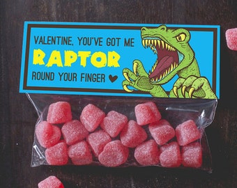 Raptor Dinosaur Valentine Treat Topper INSTANT DOWNLOAD printable print at home valentine's day candy bag label top boy valentine funny