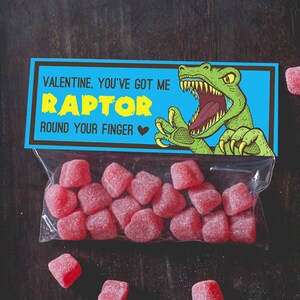 Raptor Dinosaur Valentine Treat Topper INSTANT DOWNLOAD printable print at home valentine's day candy bag label top boy valentine funny image 1