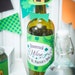St. Patrick's Day Adult Party Printable Decor Kit Saint Patricks Day ...