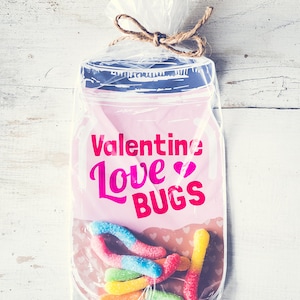 Pode incluir: Um frasco de vidro rosa e branco com um saco de plástico transparente cheio de vermes de goma coloridos. O frasco tem o texto "Valentine Love Bugs".