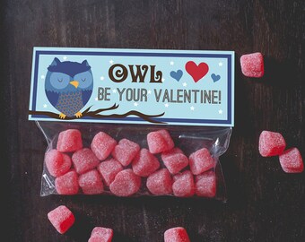 Printable treat topper valentine's day Owl blue boy Valentines Classroom  candy bag top print at home INSTANT DOWNLOAD