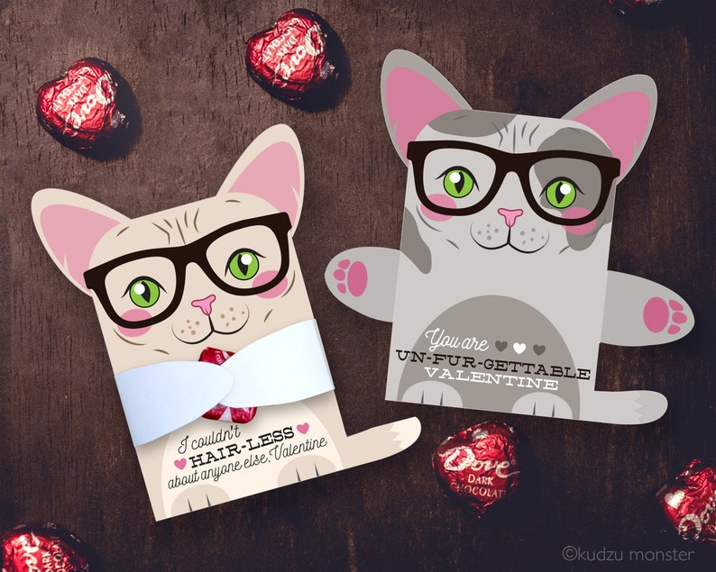 Hairless Cat Valentine Classroom Candy Hugger valentines cute image 1