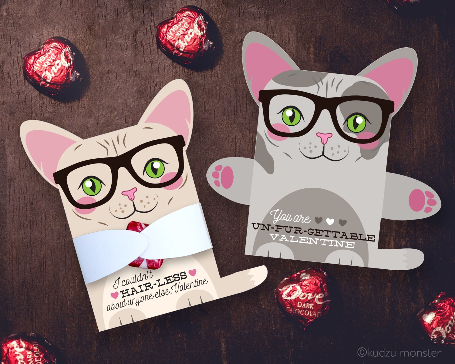 Hairless Cat Valentine Classroom Candy Hugger valentines cute Etsy
