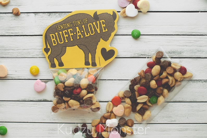 Trail Mix Valentines for Kids Bison Buffalo Adventure Hiking Wildlife Explorer Valentine/'s Day Treat Bag Toppers GORP Goodie Bag Card