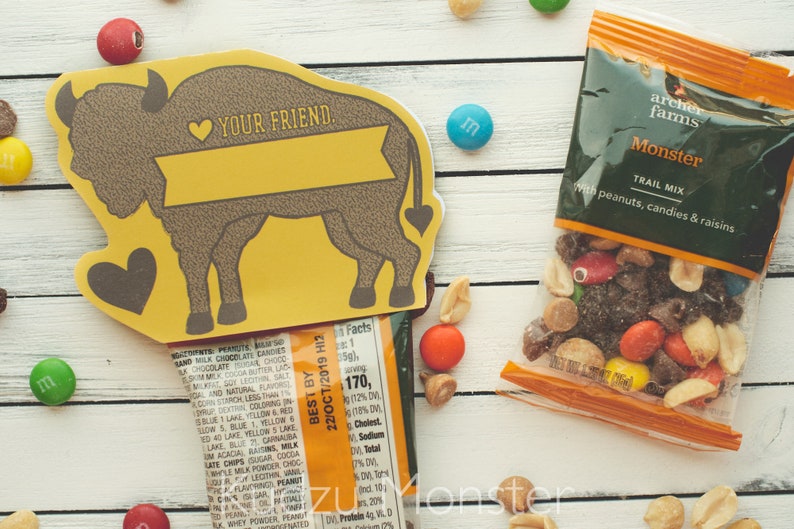 Trail Mix Valentines for Kids Bison Buffalo Adventure Hiking Wildlife Explorer Valentine/'s Day Treat Bag Toppers GORP Goodie Bag Card