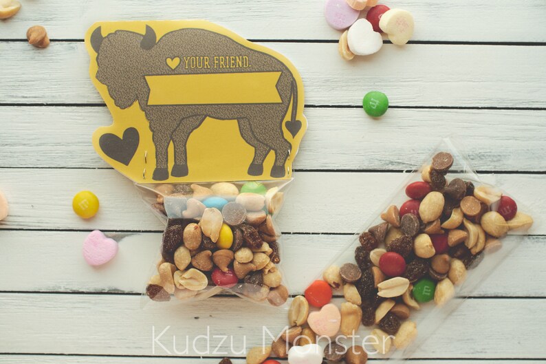 Trail Mix Valentines for Kids Bison Buffalo Adventure Hiking Wildlife Explorer Valentine/'s Day Treat Bag Toppers GORP Goodie Bag Card