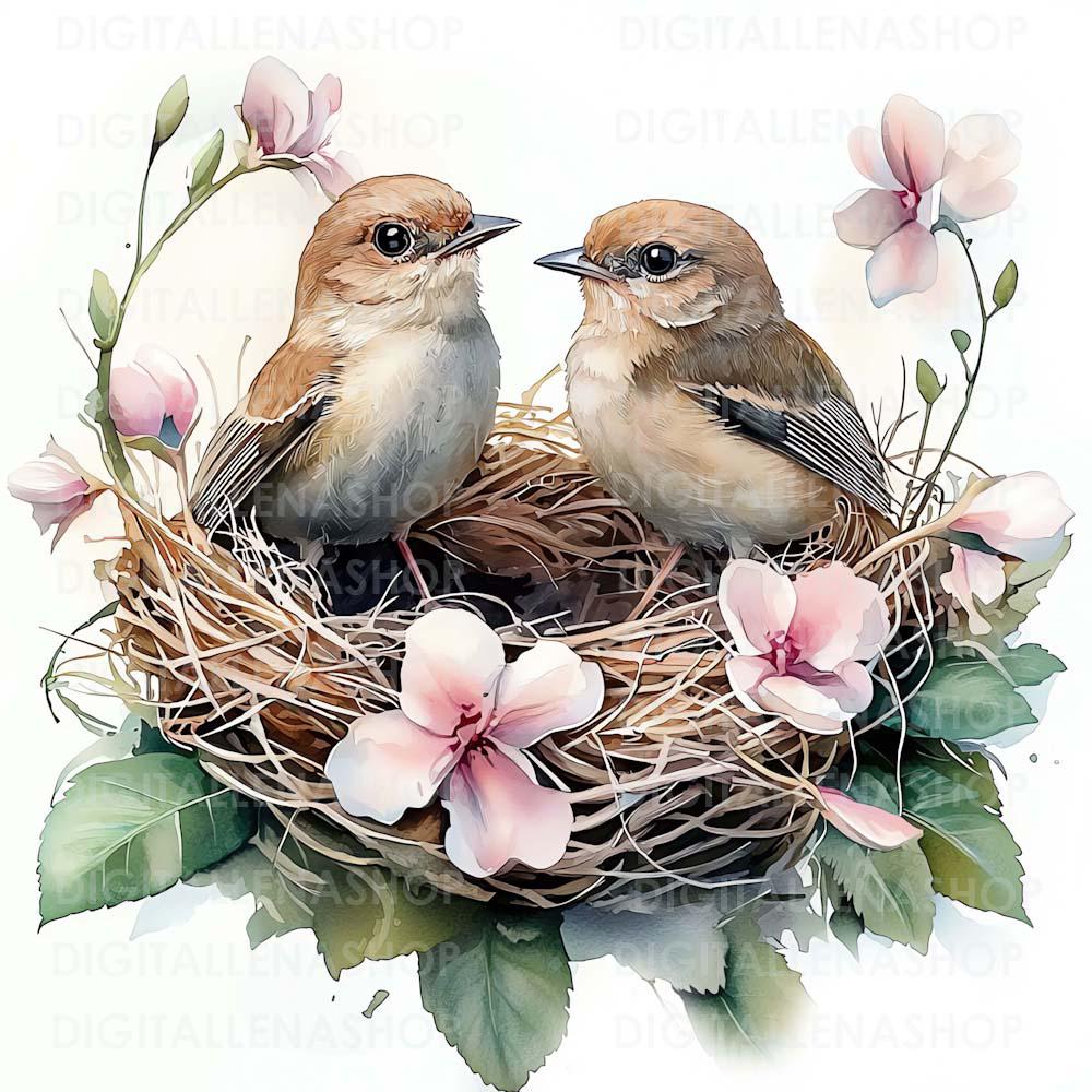♡たまみな♡鳥と花の水彩画原画8枚＋複製品13枚セット 水彩画「春の鳥の巣」クリップアート：花柄JPGイラスト（デジタル
