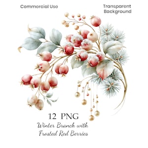 May include: A digital illustration of a winter branch featuring frosted red berries, pale green leaves, and pine needles. The image includes text reading Commercial Use, Transparent Background, 12 PNG, and Winter Branch with Frosted Red Berries.