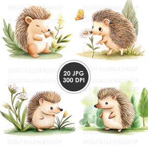 Watercolor Funny Hedgehog Clipart Set | 20 JPG Files | Woodland Animals in Natural Adorable Hedgehog Graphics for Nursery, Invitations