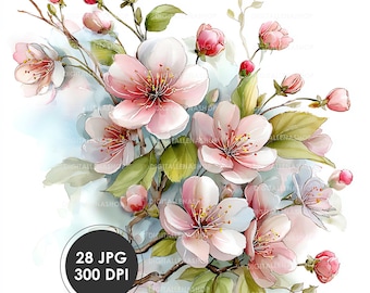 Ensemble de cliparts aquarelle fleurs de cerisier Sakura | Fleurs de printemps | 28 fichiers JPG | Téléchargement numérique