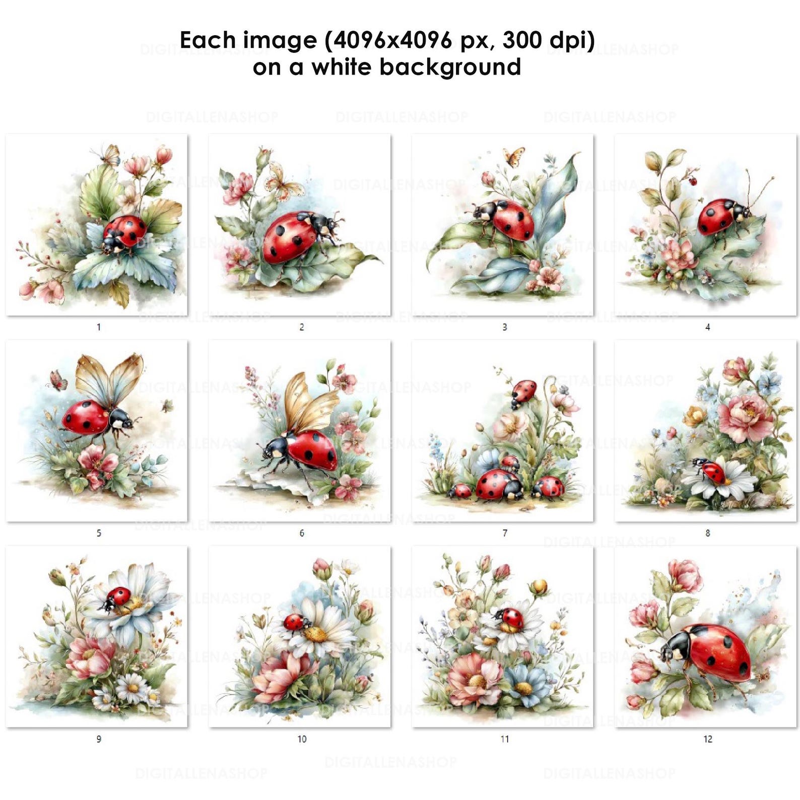 Spring Ladybug Watercolor Clipart Set | Garden Insect Art | Journal ...
